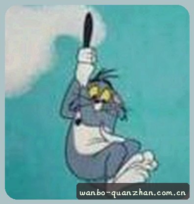 郑宇